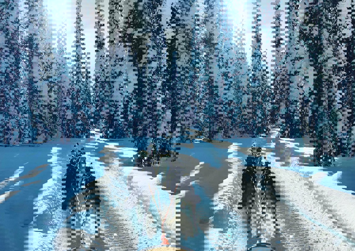 Simon Smith B4qbdlnius0 Unsplash
