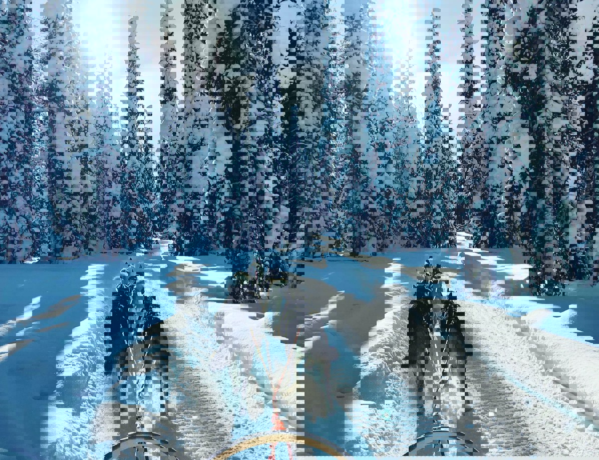 Simon Smith B4qbdlnius0 Unsplash