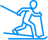 Icon Nordic Skiing